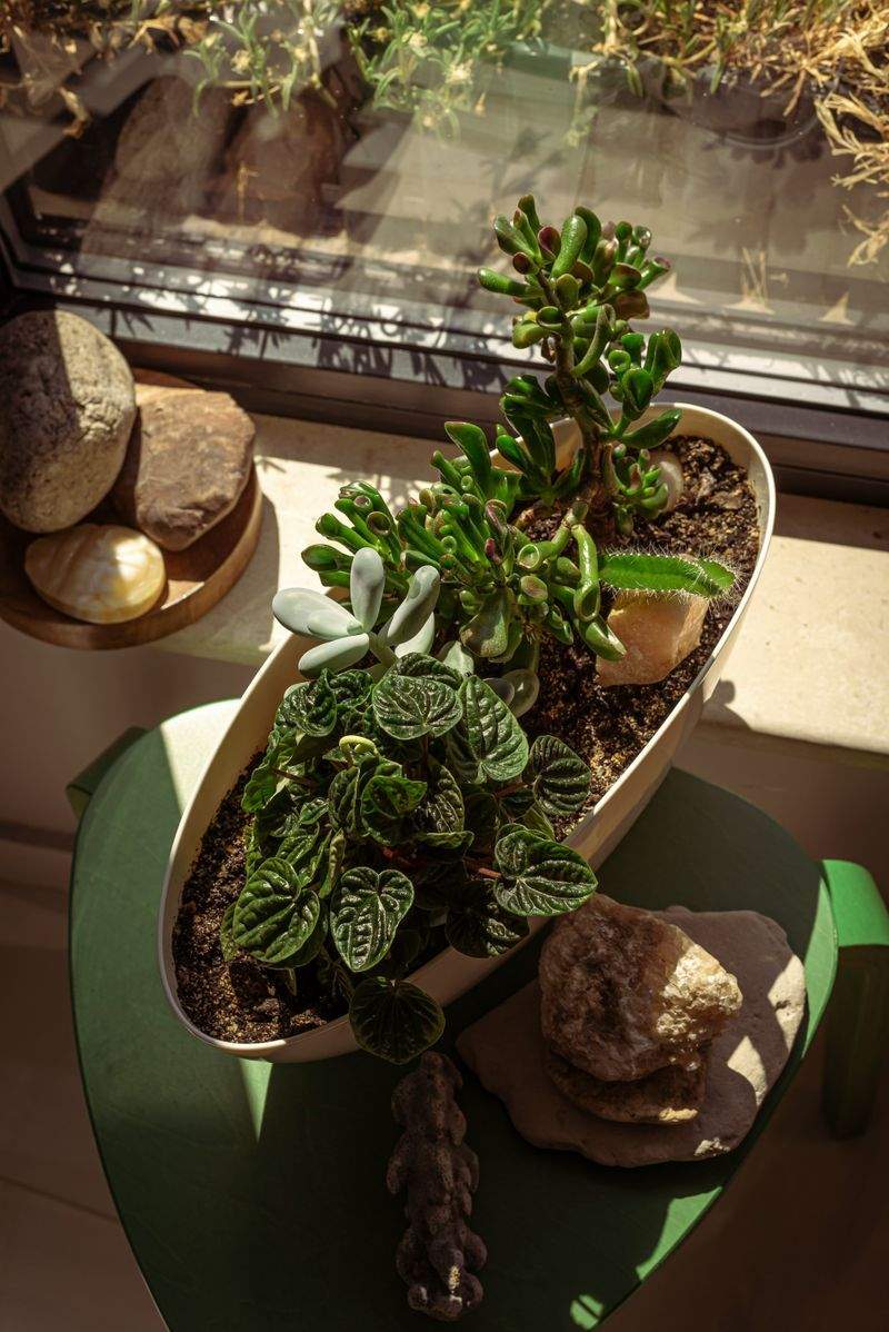 趣味で広がる友達の輪：オンラインコミュニティ活用法